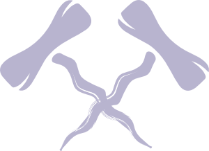 Logo della Società dei Cavatappi Incrociati