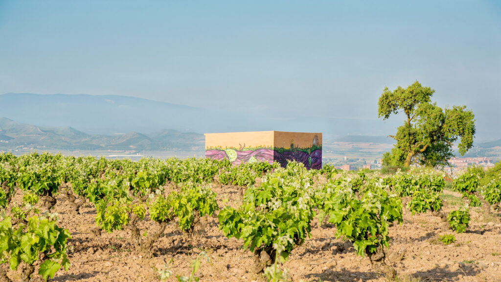 Il vigneto Finca Alto Cantabria, con le viti ad alberello sullo sfondo delle montagne, dove crescono le uve per il vino del mese n. 54 del wine club Società dei Cavatappi Incrociati