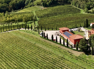 La cantina il Roncal, produttrice del vino di marzo 2024 del wine club La Società dei Cavatappi Incrociati