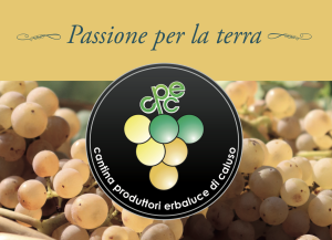 Logo della Cantina Produttori Erbaluce di Caluso, produttrice del vino del mese n. 80 del wine club Società dei Cavatappi Incrociati
